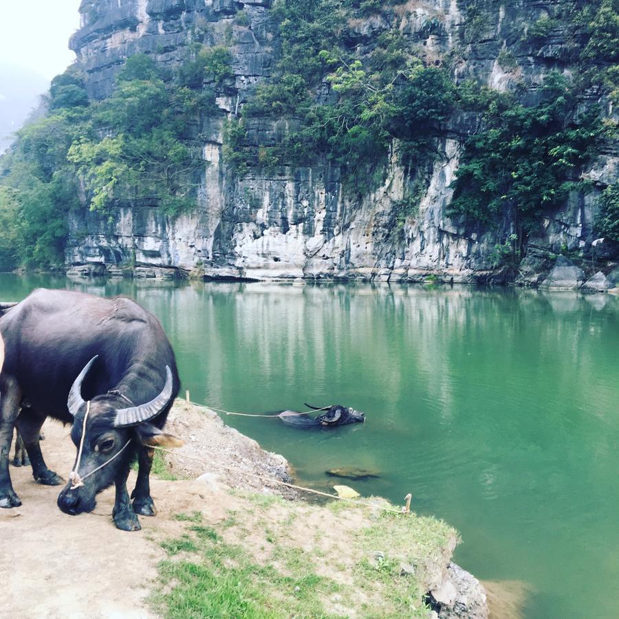 Mai'S Homestay Trang An Ninh Binh Exterior foto