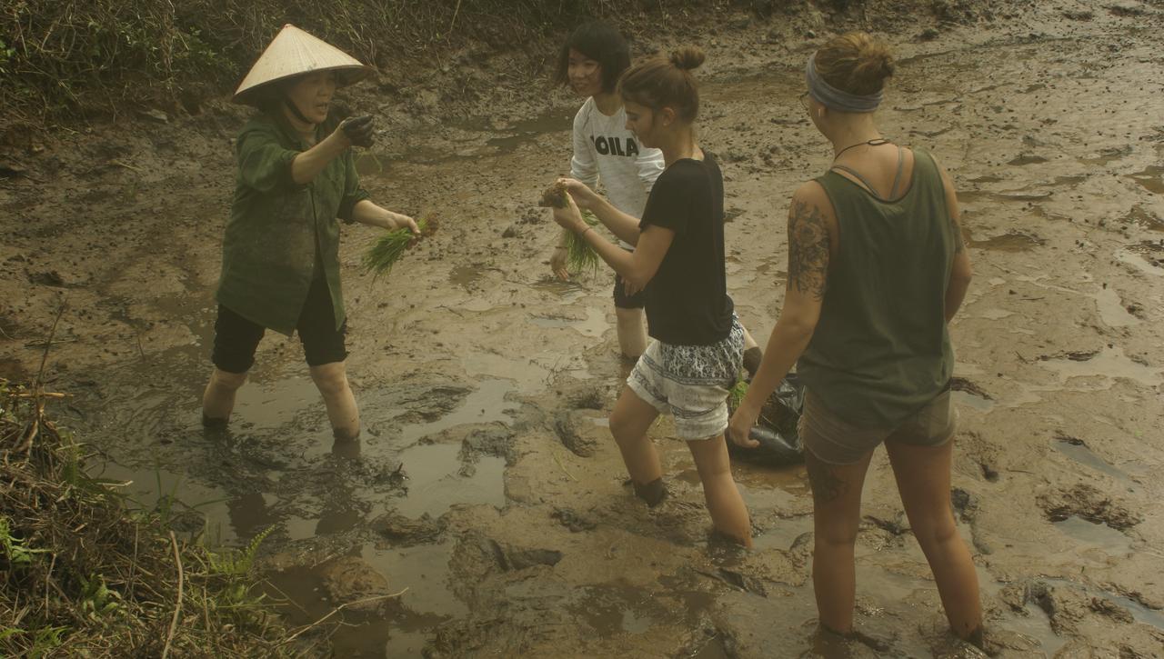 Mai'S Homestay Trang An Ninh Binh Exterior foto