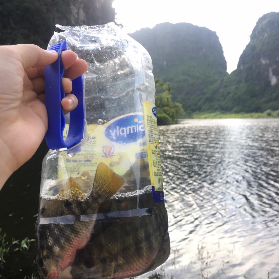 Mai'S Homestay Trang An Ninh Binh Exterior foto
