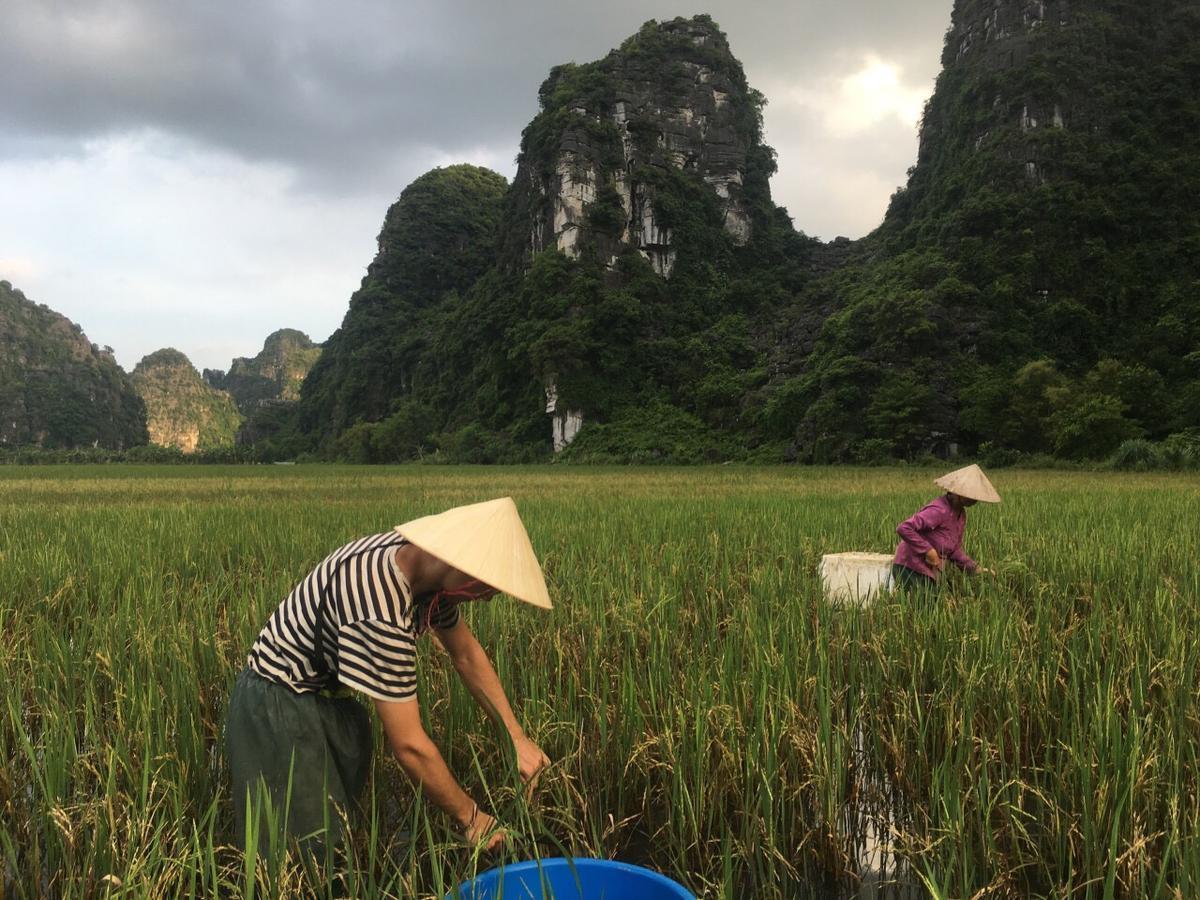 Mai'S Homestay Trang An Ninh Binh Exterior foto