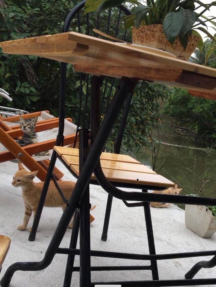 Mai'S Homestay Trang An Ninh Binh Exterior foto