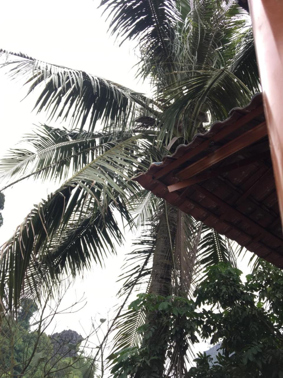 Mai'S Homestay Trang An Ninh Binh Exterior foto